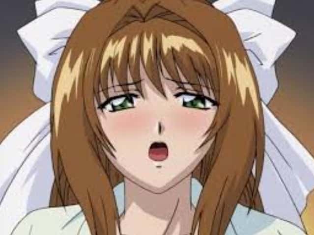 Gakuen Chijoku no Zushiki